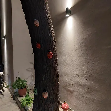 Domin Apartment, Golem, Durres Apartament Golem (Tirana)