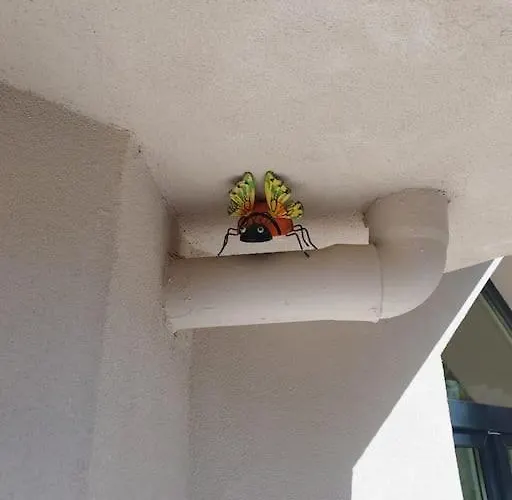 Lägenhet Domin Apartment, Golem, Durres *